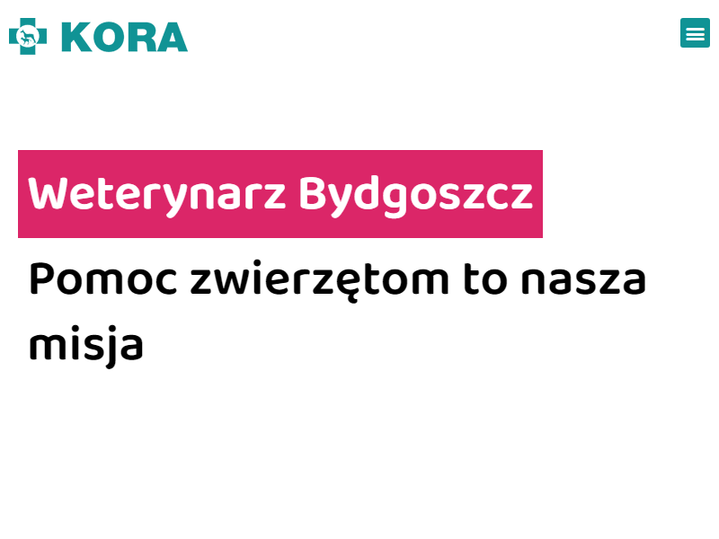 Weterynarz Kora Bydgoszcz